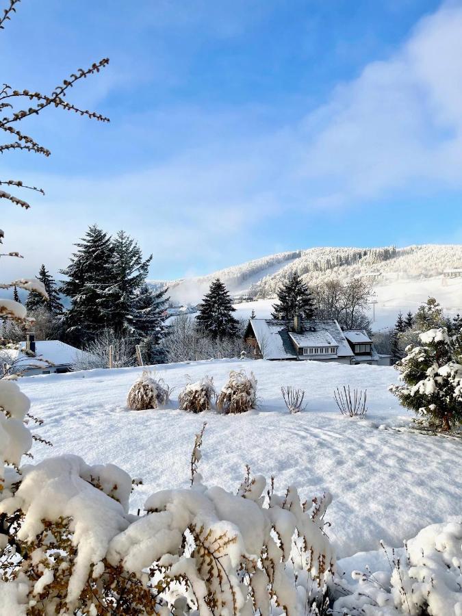 Naturapart Rauszeit Willingen (Upland) Exterior foto